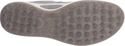 ECCO Ladies Golf Biom Hybrid Golf Shoes -Golf Sales Shop EccoLadiesHydromax SilverMetallic3